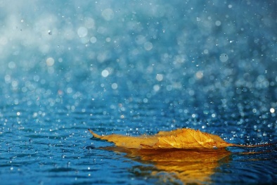Dự báo thời tiết ngày mai 30/10: Không khí lạnh gây mưa trên diện rộng