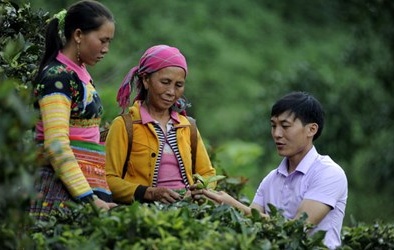 600 trí thức trẻ làm Phó Chủ tịch: Bộ Nội vụ nói gì?