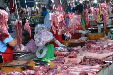 Bộ trưởng Cao Đức Phát: 'Tôi thấy lạnh xương sống'
