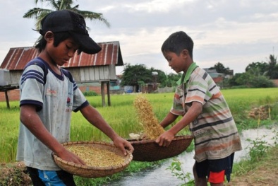 Xây dựng nông thôn mới: Đừng vội chạy theo thành tích rồi khổ dân nghèo