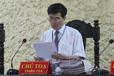 Tin tức pháp luật mới nhất hôm nay ngày 13/11