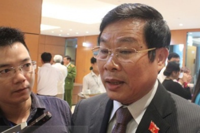 Bị phạt vì chê Chủ tịch tỉnh trên facebook: Bộ trưởng Son nói gì?