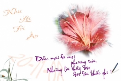 Những lời chúc hài hước dành tặng thầy cô nhân ngày nhà giáo Việt Nam 20/11