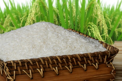 Gạo Việt chưa chắc 'được mùa' khi gia nhập TPP