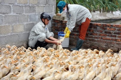 Đọc báo hôm nay: Những tin tức mới cập nhật ngày 27/11/2015