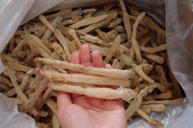 Sá sùng Vân Đồn 4 triệu đồng một kg khô vẫn cháy hàng