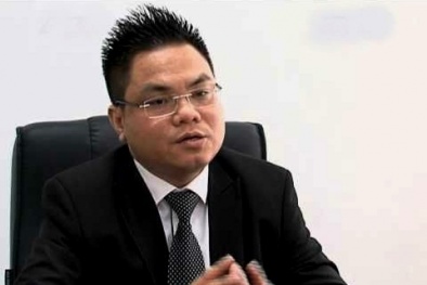 Căn cứ pháp lý xác định hành vi xâm phạm quyền đối với chỉ dẫn địa lý 