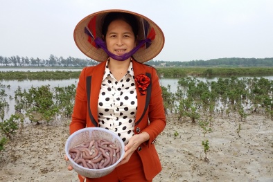 Chỉ dẫn địa lý cho thủy sản ngập nước quá khó khăn