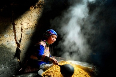 Gắn nhãn để giữ thương hiệu rượu ngô men lá Na Hang