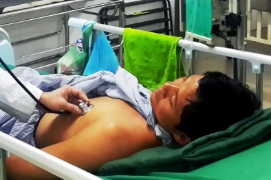 Bị ngộ độc nặng khi nhờ thầy lang đắp thuốc chữa rắn cắn