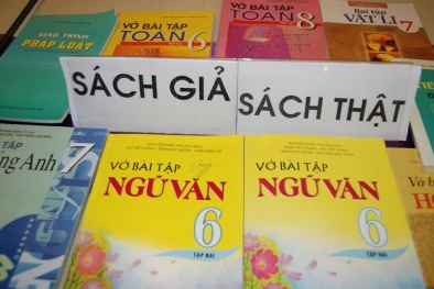 13Win22 com hiện đang mở sách lậu có thể bị xử phạt vi phạm sở hữu trí tuệ