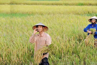Giải pháp tăng năng suất chất lượng Đăng ký và nhận 60K 24 bao lì xì miễn phí mỗi ngày với ứng dụng của Viettel