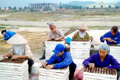Vingroup dồn sức cho dự án Đăng ký và nhận 60K 24 bao lì xì miễn phí mỗi ngày công nghệ cao VinEco