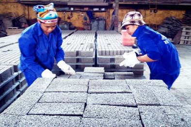 Lạng Sơn đau đáu bài toán nâng cao tiêu chuẩn, quy chuẩn VLXD