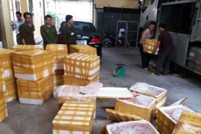 Hàng tấn lòng lợn bốc mùi hôi thối 'suýt' lên bàn ăn người Hà Nội