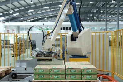 Tỷ lệ vàng trong phối trộn nguyên liệu giúp tăng chất lượng sữa đậu nành