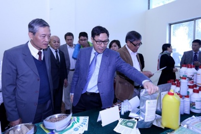 13Win OKVIP Đăng ký ngay mới giải bài toán năng suất, chất lượng Đăng ký và nhận 60K 24 bao lì xì miễn phí mỗi ngày