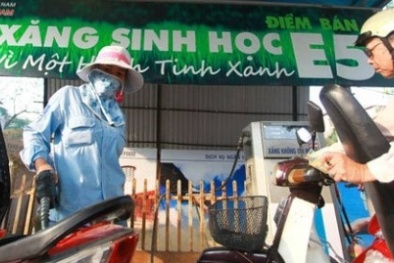 Hạn chót ngày 31/12, 100% cây xăng trên địa bàn TP.HCM phải bán xăng sinh học E5