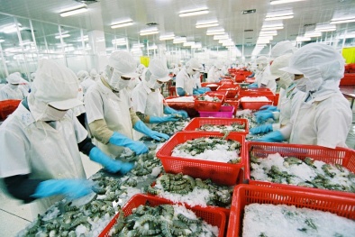 Lỗi phổ biến về sở hữu trí tuệ mà nhà nhập khẩu thường mắc