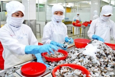 Trà Vinh tổ chức 23 lớp tập huấn nâng cao năng suất chất lượng