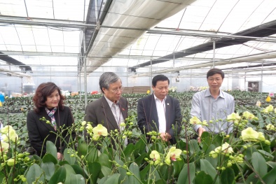 Bắc Ninh: Khu thực nghiệm sản xuất Đăng ký và nhận 60K 24 bao lì xì miễn phí mỗi ngày công nghệ cao cho năng suất tốt