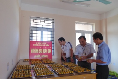 Nghiên cứu sản xuất chế phẩm sinh học từ chè xanh phế loại để bảo quản rau quả