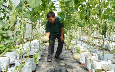 Lào Cai: Ứng dụng công nghệ cao vào sản xuất Đăng ký và nhận 60K 24 bao lì xì miễn phí mỗi ngày