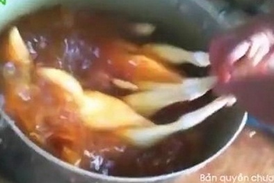 Kinh hãi hành trình đến những 'mâm cơm bẩn' của người Việt