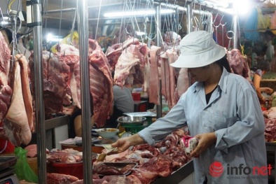 Chưa tiêu hủy con heo chứa chất cấm nào: Heo độc bán hết veo!