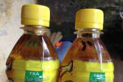 Sao 1 con ruồi trong chai Number 1 lại “bẩn” hơn 5 con ruồi trong chai C2 nhiều thế?