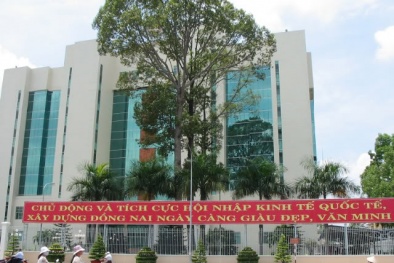 Những thay đổi trong bộ máy nhân sự 2 tỉnh Bình Định, Đồng Nai