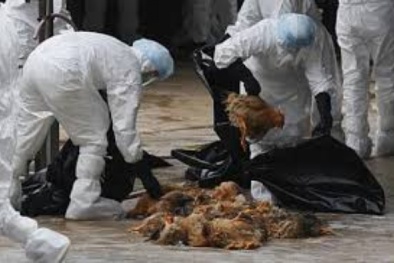 Đọc báo hôm nay: Những tin tức mới cập nhật hôm nay ngày 10/1/2016
