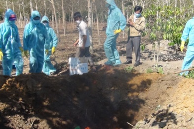 Đọc báo hôm nay: Những tin tức mới cập nhật ngày 11/1/2016