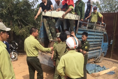 'Tập đoàn' côn đồ hung hãn tấn công kiểm lâm vì dám thu gỗ
