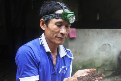 Thoát nghèo nhờ giun quế