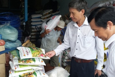 Thanh tra toàn bộ hoạt động cấp chứng nhận phân bón