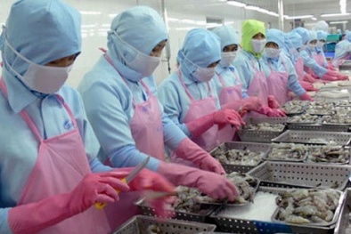 Năng suất 13Win18 cá cược thể thao ngành nông lâm thủy sản tăng 1,75 lần 