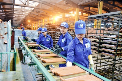 Viglacera Hạ Long thắng lớn nhờ dùng công nghệ làm đòn bẩy chất lượng