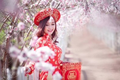 ‘Mê hồn’ ba địa điểm chụp ảnh Tết Âm lịch với hoa đào tại miền Bắc 