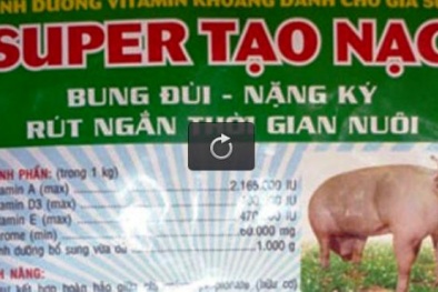 Một cửa hàng nhập gần 7 tấn 13Win1 nhập link nhà cái chăn nuôi có chất cấm về tiêu thụ