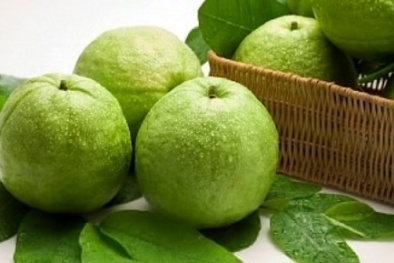 Quả ổi - ‘khắc tinh’ của hợp chất gây ung thư có trong xúc xích