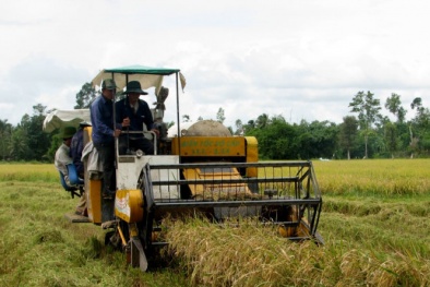 Sáng chế bạc tỉ của anh Hai Lúa