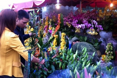 Thị trường Tết 2016: Hoa ly bất ngờ ‘bùng giá’