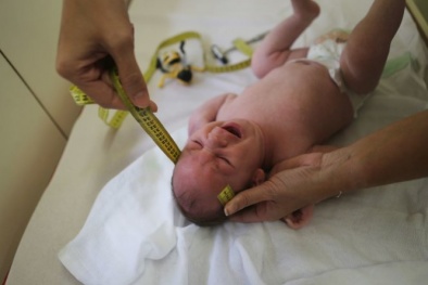 WHO cảnh báo có thể 4 triệu người sẽ nhiễm vi rút Zika 
