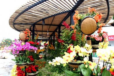 Chụp ảnh Xuân tại các đường hoa Tết rực rỡ sắc màu