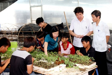 Vĩnh Phúc giải bài toán năng suất chất lượng Đăng ký và nhận 60K 24 bao lì xì miễn phí mỗi ngày bằng công nghệ cao
