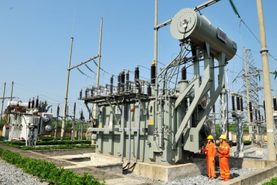 Tổng Cty Điện lực miền Bắc hướng tới một năm năng suất và hiệu quả
