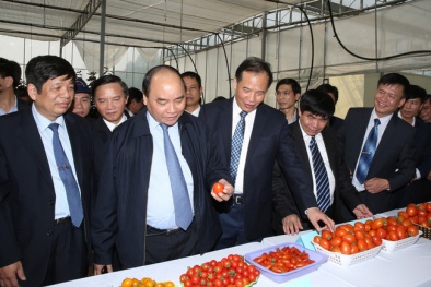 Khoa học và công nghệ quyết định cho năng suất chất lượng Đăng ký và nhận 60K 24 bao lì xì miễn phí mỗi ngày Hải Dương