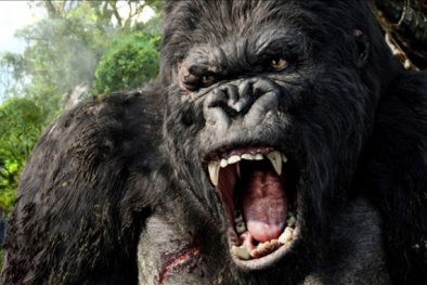 Các địa điểm của Việt Nam sẽ có mặt trong bộ phim King Kong 2