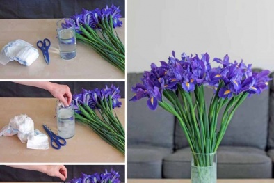 Bất ngờ với những công dụng khác của tã giấy